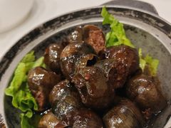 -瑞福园联谊餐室(茂名南路店)