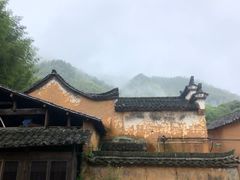-杨家堂村