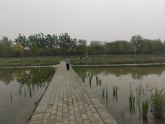 -绿堤公园