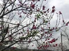 -得福农庄