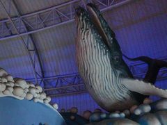 -烟台海昌鲸鲨海洋公园