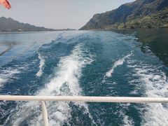 -仙岛湖旅游风景区