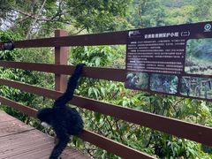 -野象谷景区