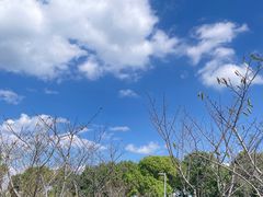-阳澄湖半岛旅游度假区