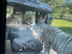 -北京野生动物园