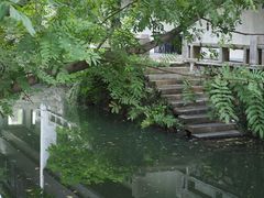 -尚贤河湿地