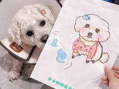 -瑞派宠物医院·24h·骨外科·皮肤科·全科宠物医疗转诊中心(沈阳浑南院)