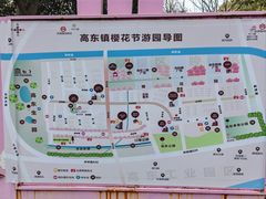 -高东镇樱花园