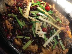 -老板恋上鱼(恒隆广场店)