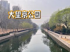-大望京公园