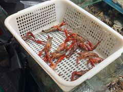 -京贸物联批发市场