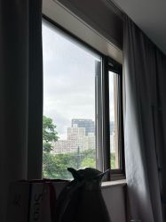 -上海首尔丽格医疗美容医院