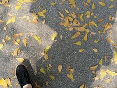 -华侨大学(厦门校区)