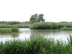 -沙家浜风景区