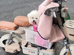 -袁大头包子(光华路店)