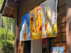 -东明山森林公园