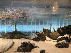 -水悦汇