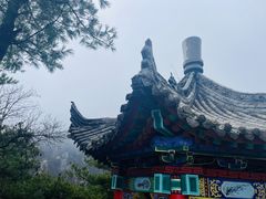 -王顺山国家森林公园