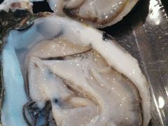-胶东海鲜大排档(北太平庄店)