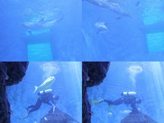 -多彩贵州城极地海洋世界