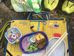 -北海道厅旧本厅舍(旧本庁舎)