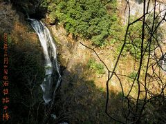 -祁门牯牛降观音堂风景区