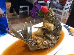 糖醋鲤鱼-闫府私房菜·百年鲁菜(恒隆店)