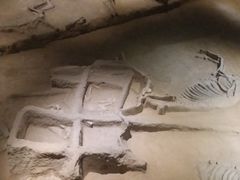 -洛阳周王城天子驾六博物馆