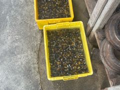 -红旗山庄(圭峰山店)