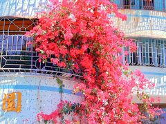 -惠州西湖丰渚园