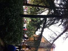 iphone_upload_pic-成都大熊猫繁育研究基地