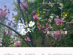 -东山湖公园