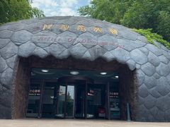 -中国西峡恐龙遗迹园