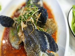 石斑鱼清蒸-四川小胡子海鲜(丁村万人海鲜广场店)