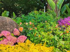 -人民公园(罗湖区)