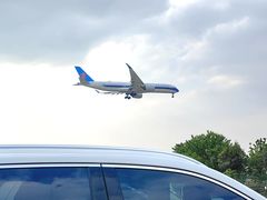 -空港花田景区