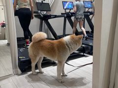 -YCHL Studios健身工作室(市二宫店)