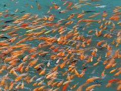 -楠溪江风景名胜区