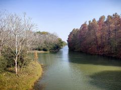 -上海海湾国家森林公园