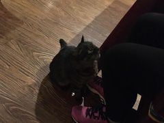 -阿布氇孜藏餐厅(九寨沟店)