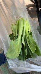 -Dr.林醫生产后修复·超级店(南京江宁同曦店)