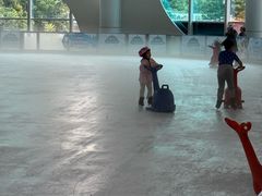 -世界之窗阿尔卑斯冰雪世界