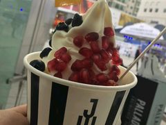 -JW德国冻酸奶Frozen Yogurt(龙湖成都滨江天街店)