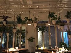 大堂-春树下·树屋花房西餐厅(罍街AS1980店)