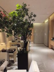 -半岛故事·法儿曼抗衰·indiba中心