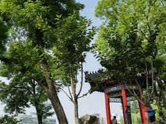 -莲湖公园