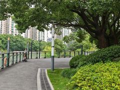 -苏州河梦清园环保主题公园