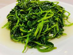 空心菜-光明邨大酒家(汇阳广场店)