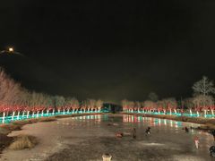 -芦芽山旅游度假区