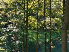 -常德桃花源景区